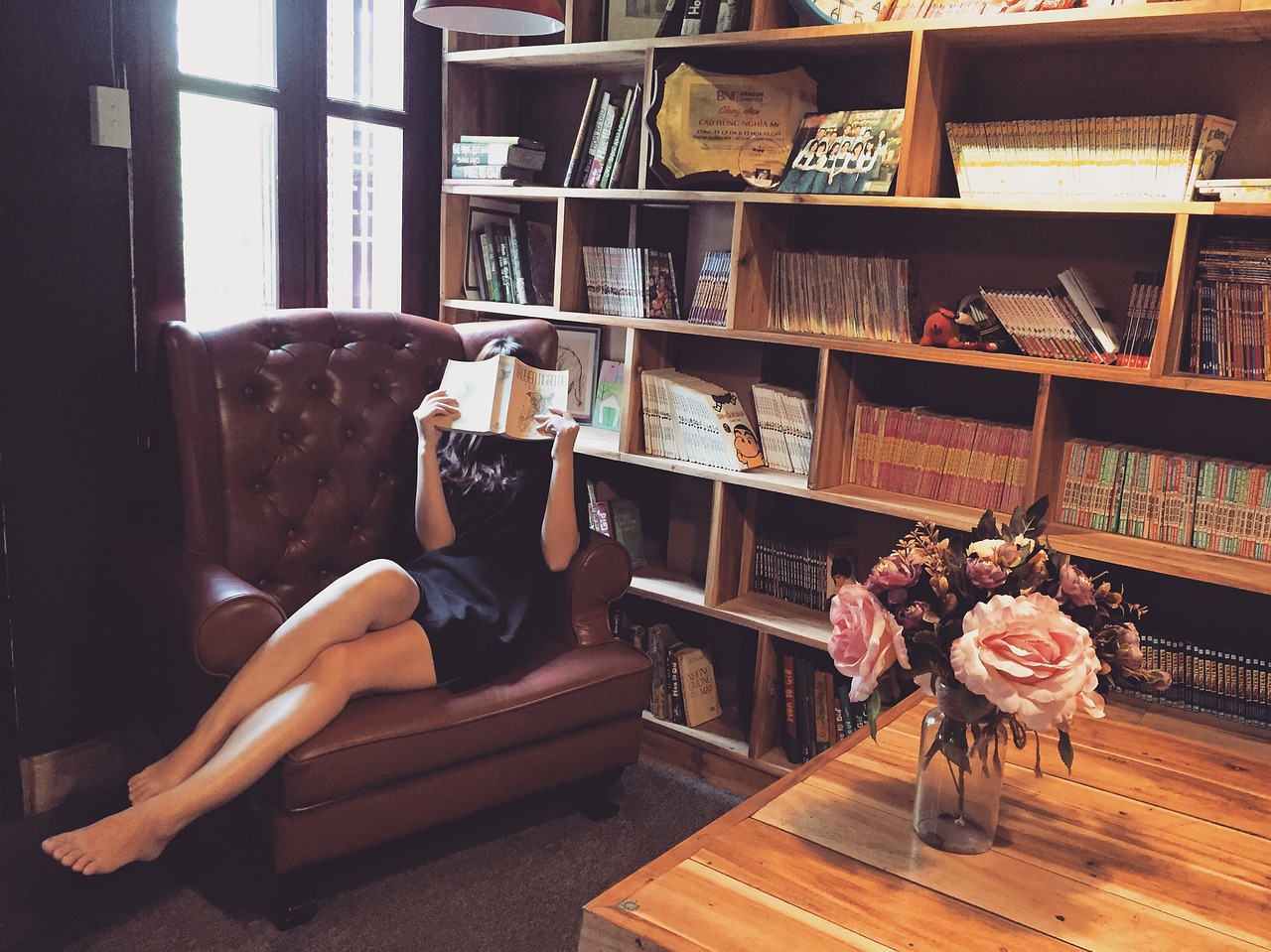 woman, reading, armchair, library, reading book, books, bookcases, bookshelves, sit, sitting, couch, girl, shelves, interiors, indoors, reading, reading, reading, reading, library, library, library, library, library, books, books, books